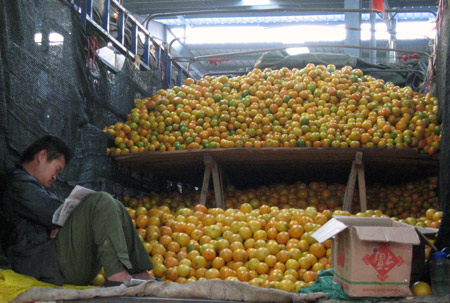 Scare hits sales of tangerines in Sichuan