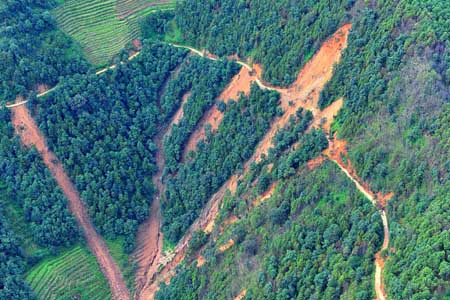 Landslide divides village in half in S China