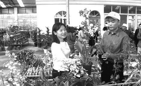 Guangdong to bolster growth with rural resources