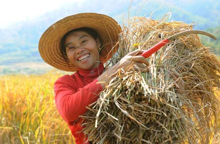 Guangxi gov't helps residents in revolutionary base areas to get rid of poverty