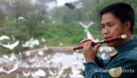 Flute player for birds at Chongqing wildlife park