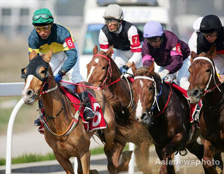 Horse racing back on Wuhan courses