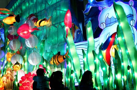 Lanterns set up in Nanjing to welcome new year
