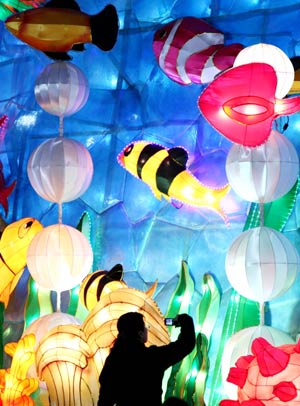 Lanterns set up in Nanjing to welcome new year