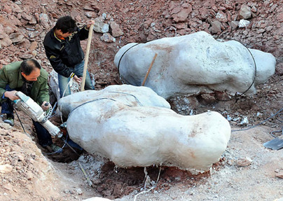 Huge dinosaur fossils discovered in C China