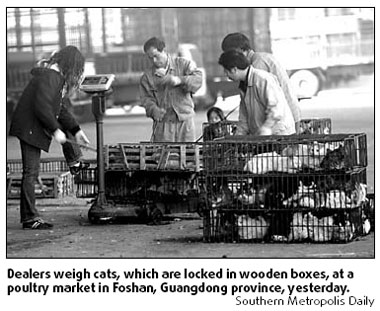 Netizens angry about cats on menu
