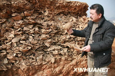 Unearthed celadon clay pottery discovered in Anhui
