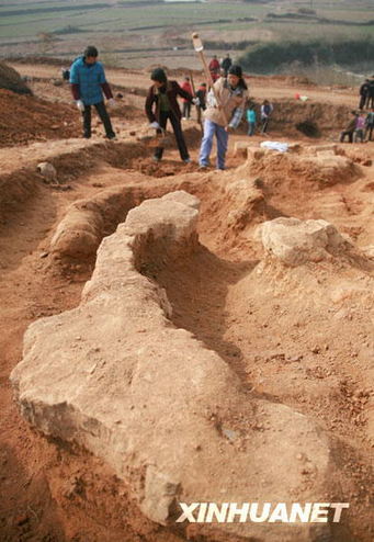Unearthed celadon clay pottery discovered in Anhui
