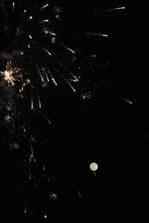 Fireworks make glamorous view on China's traditional Lantern Festival