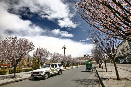 Lhasa welcomes spring season