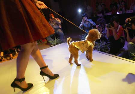 Doggy fashion show