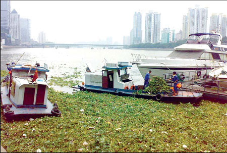 Cities battling unwanted water life