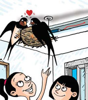 College girls share room with feathered friends