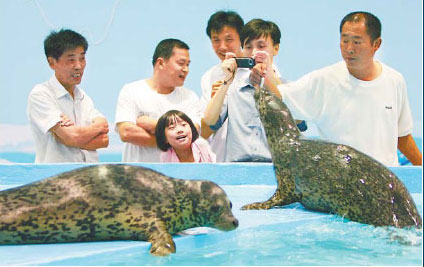 Polar animals to bring cool