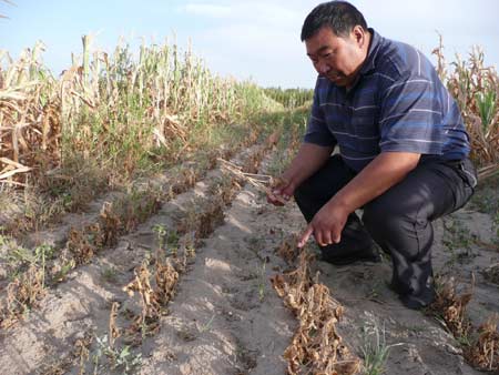 Droughts hit central and northern China