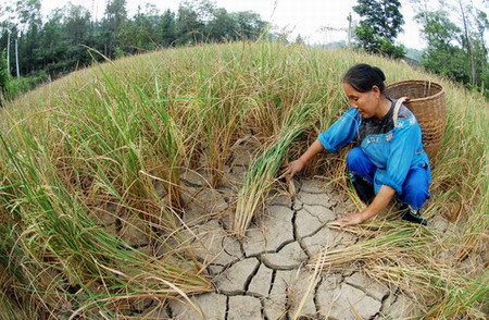 Droughts hit central and northern China