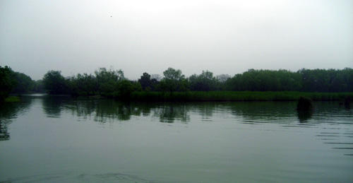 Xixi Wetland in Hangzhou