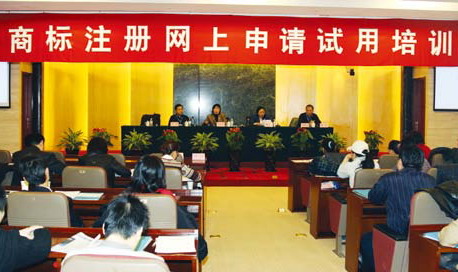 Chapter 6 Trademark IT Development