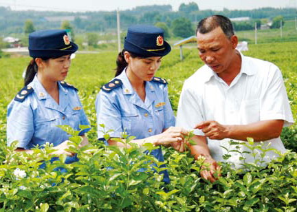 Chapter 4 Trademarks for Agricultural Products and Geographical Indications