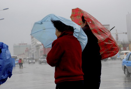 Gales hit East China's Shandong province