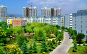 Charming Henan