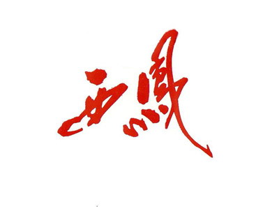 Shaanxi Xifeng Co Ltd