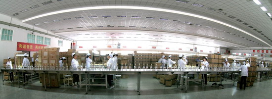 Shaanxi Xifeng Co Ltd