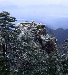 Pristine winter sightseeing at Huangshan Mountain