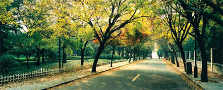 Basking in the glow of its 120 years