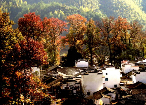 Beautiful Scenery of Jiangxim