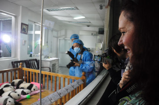 Chengdu base has more than 108 pandas