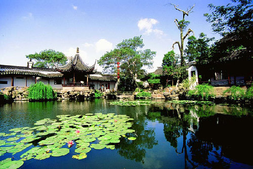 The Master-of-Nets Garden