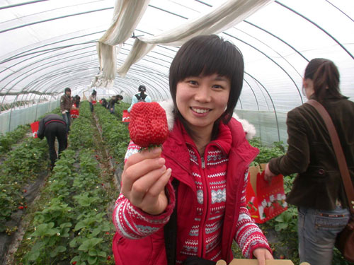 “Fruit picking” tour of Sandu