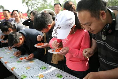 Chengdu Cherry Festival kicks off