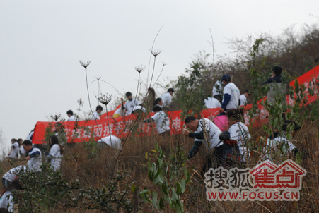 “打造绿色家园建设城市繁华”植树活动启幕
