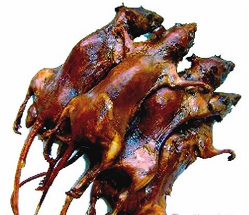 Ninghua dried mouse meat