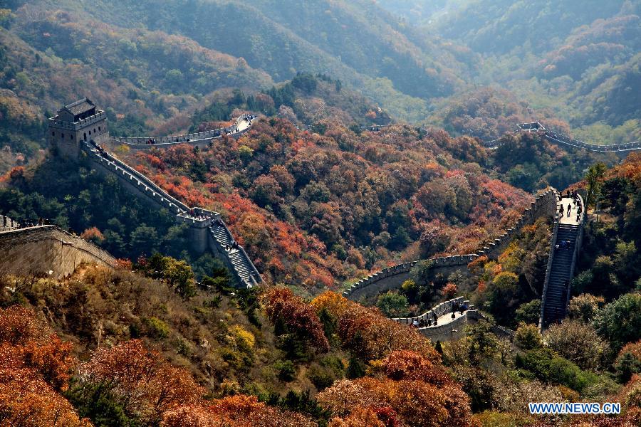 Scenery of red autumnal leaves at Badaling Great Wall