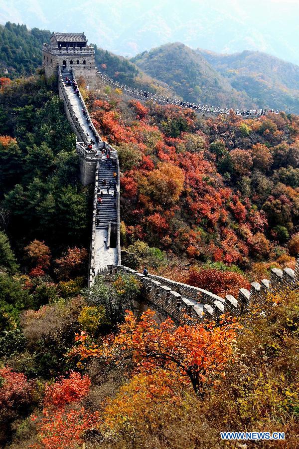 Scenery of red autumnal leaves at Badaling Great Wall
