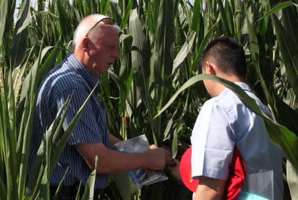 Irish expert visits Xinjiang for plastic sheeting program