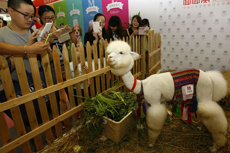 Shanghai puts pets in the limelight