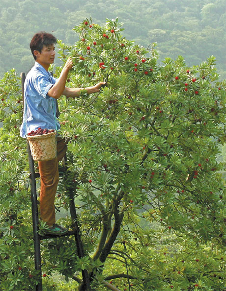 Suzhou's elegant, easy lifestyle beckons visitors