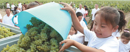 Ningxia grows grape industry