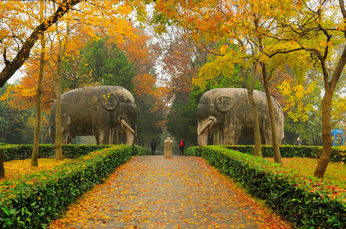 Colors of autumn in Nanjing