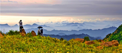 I. Red leaves on high mountains