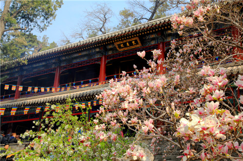 VII. Gingko leaves in temples