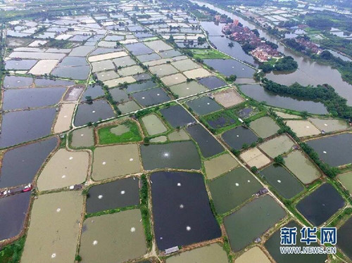 网络媒体共聚佛山 探究一座工业城市的生态文明之路