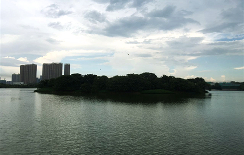 绿岛湖:城市中心的生态乐园