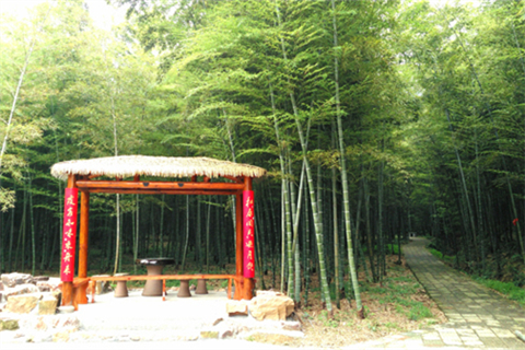 Relax your mind at Jiangyin's Chaoyang Flowers Valley