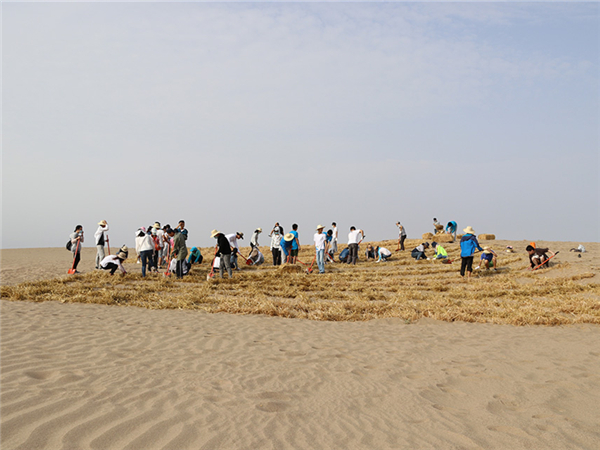 Student volunteers spend summer vacation curbing desertification