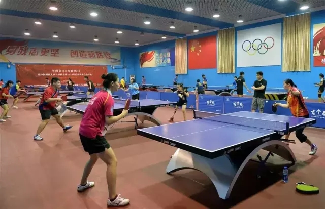Table tennis team for the disabled prepares for Rio Paralympics